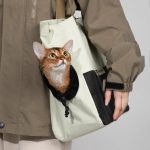 Sac à main pour chat pour l’interaction