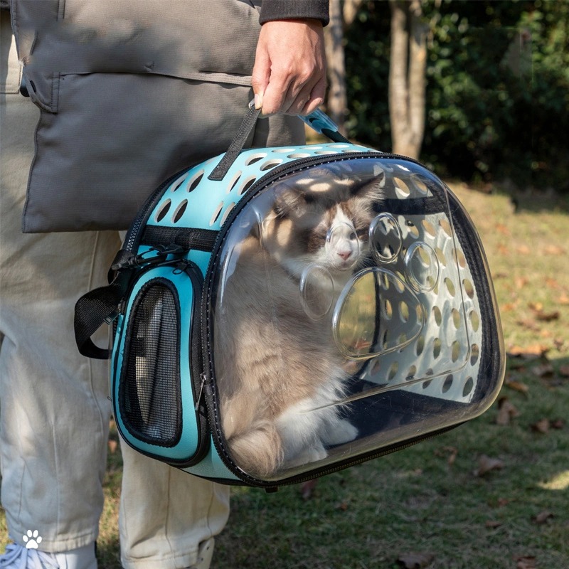 sac transparent pour chat en extérieur