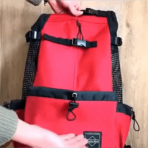 Sac à dos pour Maine Coon ergonomique