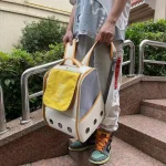 Sac de Promenade pour Chat vert jaune. Mise en situation