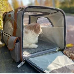 Sac de Transport pour Chat Homologué Avion avec chat à l'intérieur