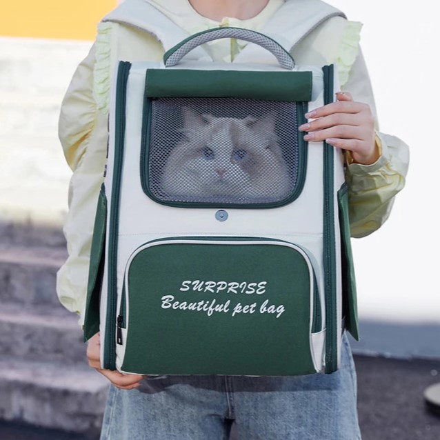 Sac de Promenade pour avec chat à l'intérieur vert