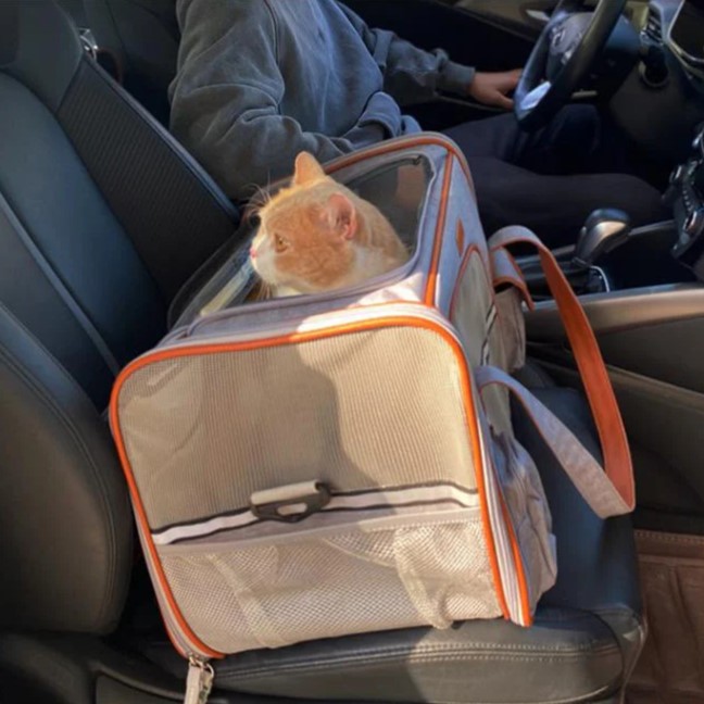 Sac de Transport pour Chat Homologué Avion avec chat à l'intérieur dans une voiture