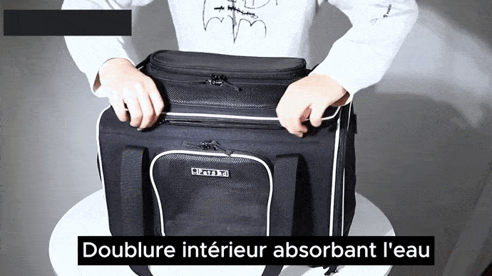 Sac de Voyage pour Chat pour Avion sécuritaire