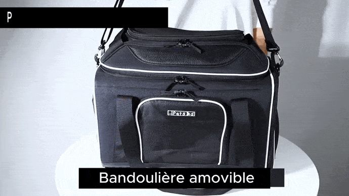 Sac de Voyage pour Chat pour Avion avec bandoulière amovible