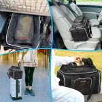 Mise en situation dans la voiture et à l'extérieur pour le Sac de Voyage pour Chat pour Avion